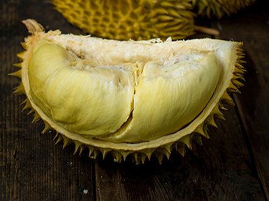 九游娱乐平台基地展示二