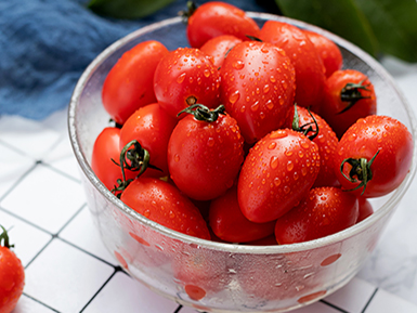 九游娱乐平台基地展示六